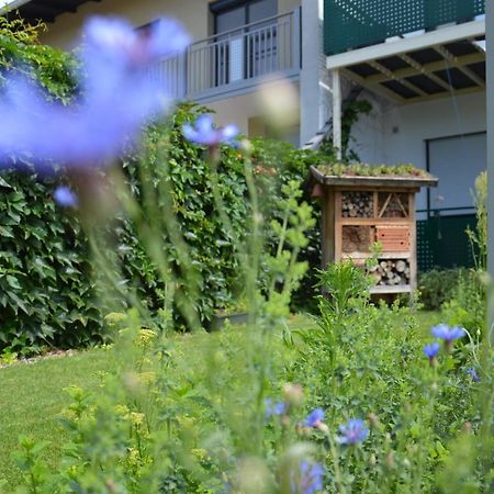 Gaestehaus Schmidt Pátfalu Kültér fotó